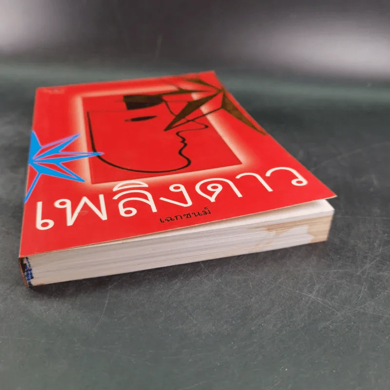 เพลิงดาว - เฉกชนม์ รูปที่ 5