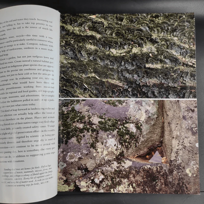 The Natural Habitat Garden - Ken Druse with Margaret Roach รูปที่ 16
