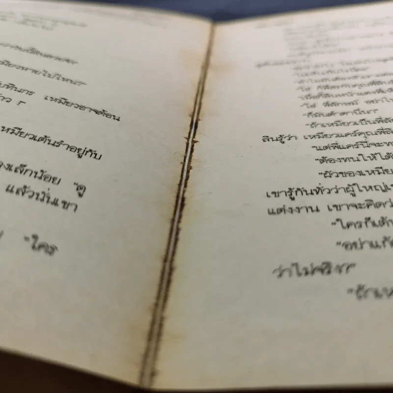 แมวเหมียว - นลิน บุษกร รูปที่ 12