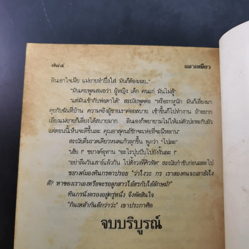 แมวเหมียว - นลิน บุษกร รูปที่ 13