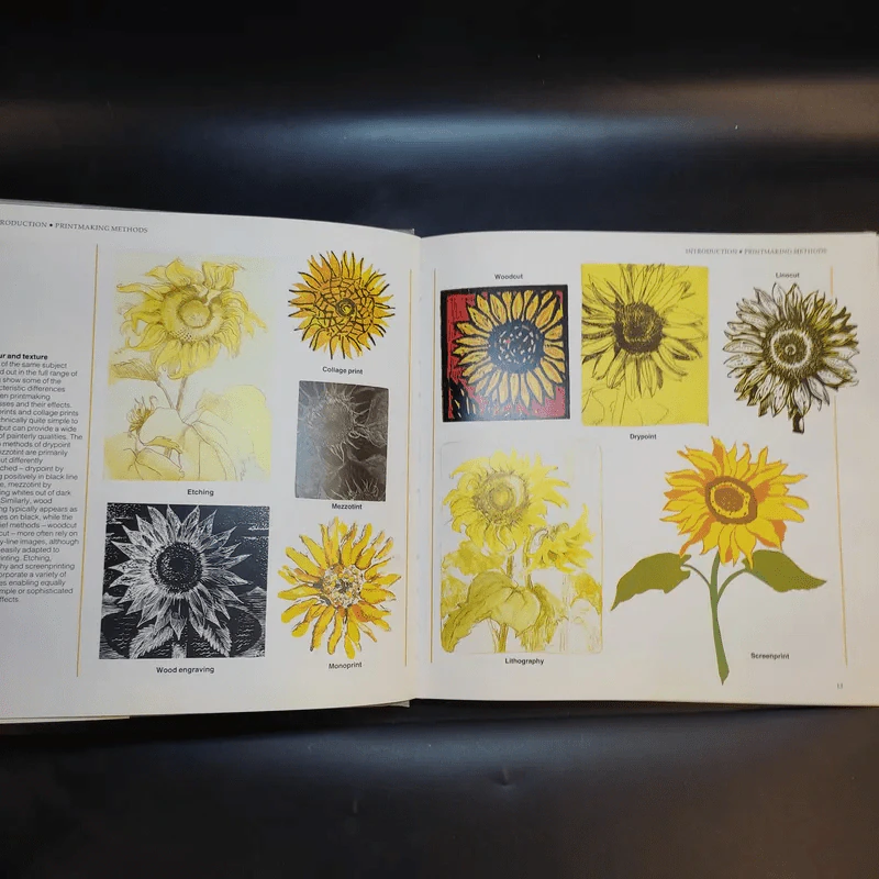 The Encyclopedia of Printmaking Techniques - Judy Martin รูปที่ 15