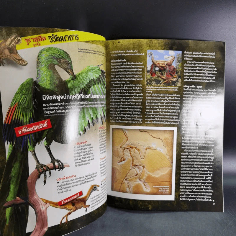 Science Illustrated May 2013 รูปที่ 11