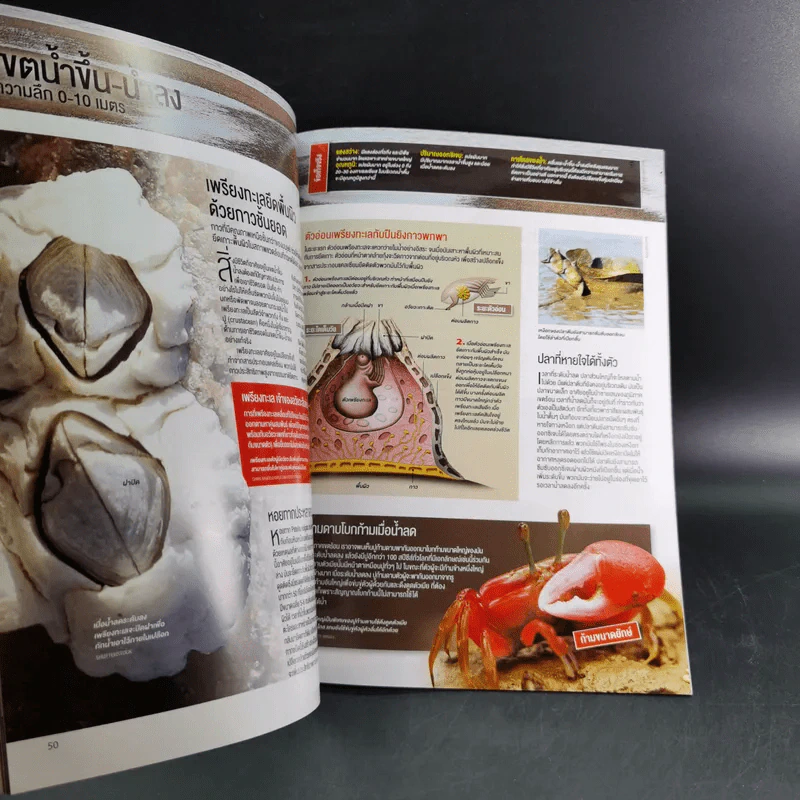 Science Illustrated July 2015 รูปที่ 10