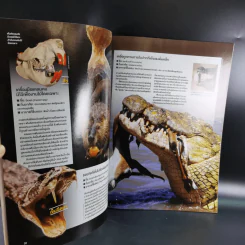Science Illustrated October 2012 รูปที่ 11