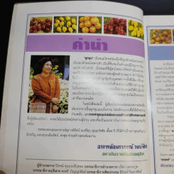 ลูกชุบ - อาจารย์อมราภรณ์ วงษ์ฟัก รูปที่ 8