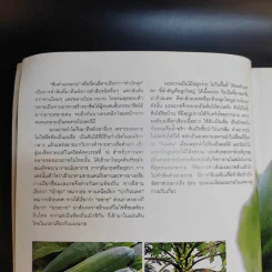 ส้มตำเป็นอาชีพ - สำนักพิมพ์แสงแดด รูปที่ 12