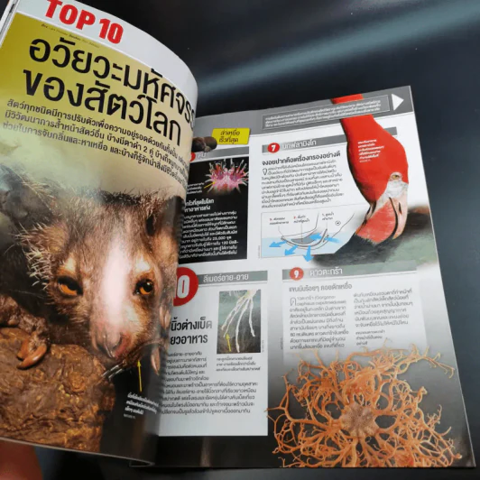 Science Illustrated May 2015 รูปที่ 12