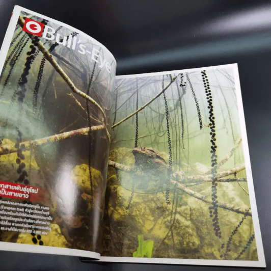 Science Illustrated May 2015 รูปที่ 11