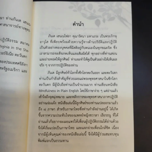สติด้วยภาษาง่ายๆ คู่มือบริหารจิตเจริญภาวนา - ภันเต เฮเนโพลา คุณารัตนะ มหาเถระ รูปที่ 11