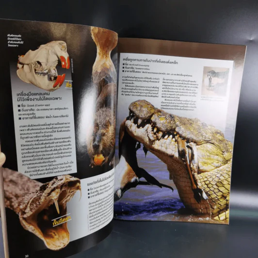Science Illustrated October 2012 รูปที่ 11
