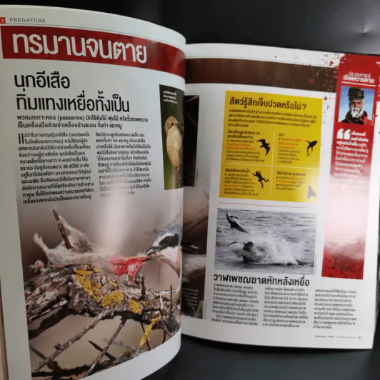 Science Illustrated September 2016 รูปที่ 10