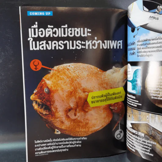 Science Illustrated May 2016 รูปที่ 13