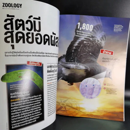 Science Illustrated April 2016 รูปที่ 10