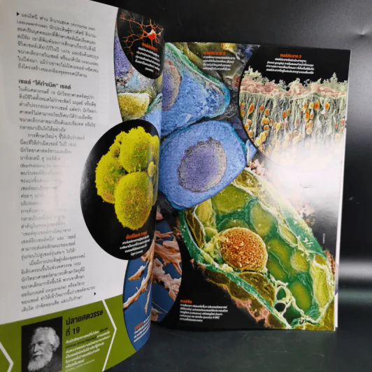 Science Illustrated March 2016 รูปที่ 10