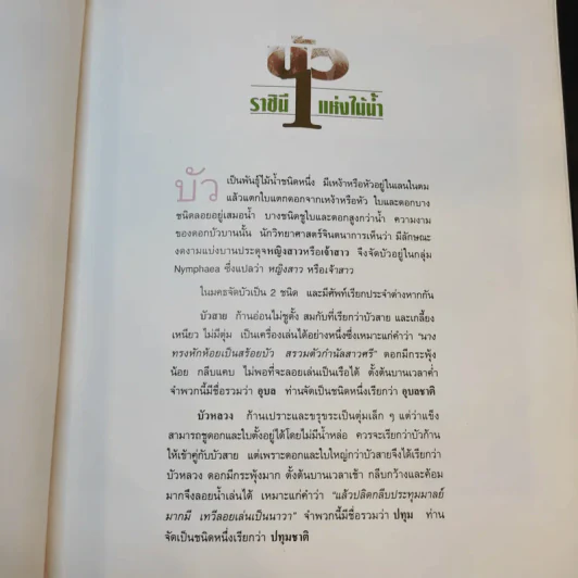 บัว ราชินีแห่งไม้น้ำ - คุณหญิงคณิตา เลขะกุล รูปที่ 13