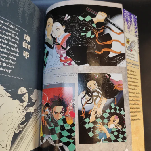 การ์ตูน ดาบพิฆาตอสูร 23 เล่มจบ + นิยาย ดาบพิฆาตอสูร 5 เล่ม รูปที่ 37