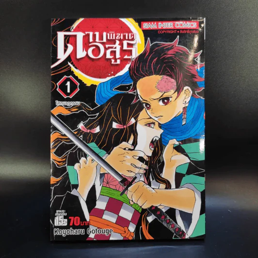 การ์ตูน ดาบพิฆาตอสูร 23 เล่มจบ + นิยาย ดาบพิฆาตอสูร 5 เล่ม รูปที่ 8