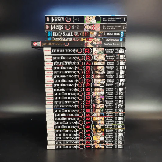 การ์ตูน ดาบพิฆาตอสูร 23 เล่มจบ + นิยาย ดาบพิฆาตอสูร 5 เล่ม รูปที่ 2