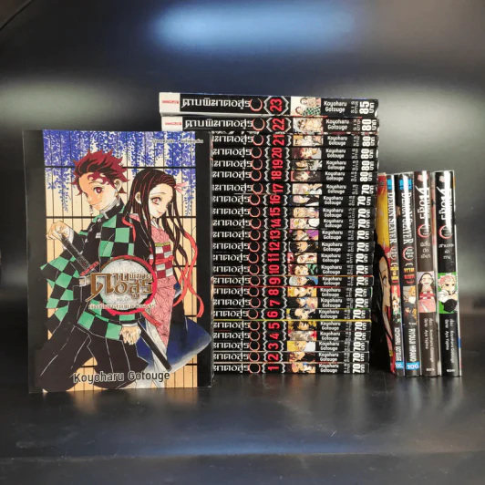 การ์ตูน ดาบพิฆาตอสูร 23 เล่มจบ + นิยาย ดาบพิฆาตอสูร 5 เล่ม รูปที่ 1