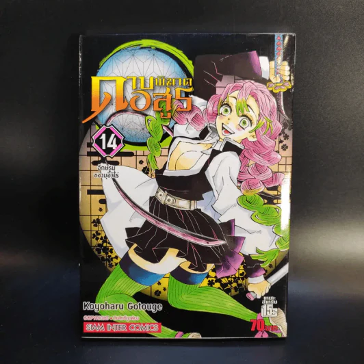 การ์ตูน ดาบพิฆาตอสูร 23 เล่มจบ + นิยาย ดาบพิฆาตอสูร 5 เล่ม รูปที่ 21