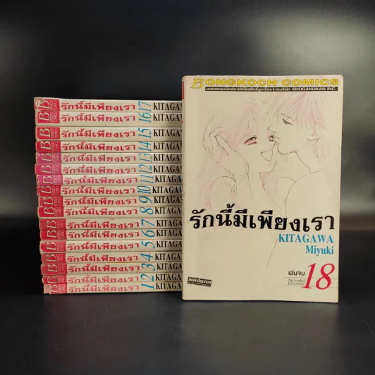 รักนี้มีเพียงเรา 18 เล่มจบ รูปที่ 1