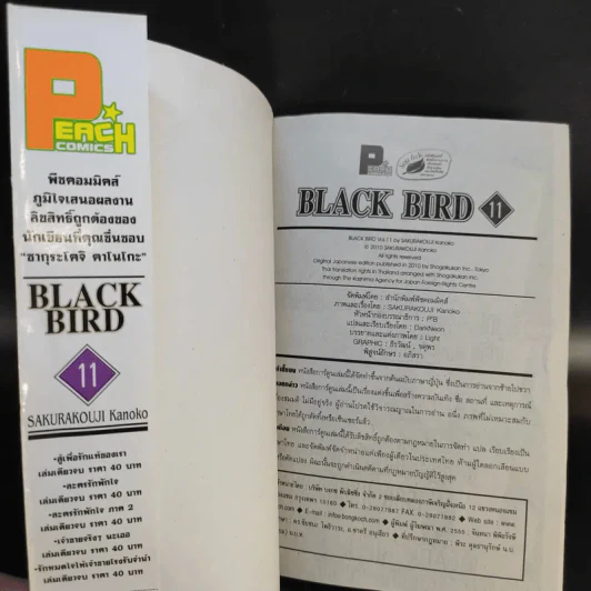 Black Bird 18 เล่มจบ รูปที่ 39