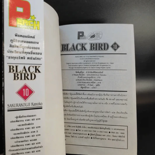 Black Bird 18 เล่มจบ รูปที่ 36