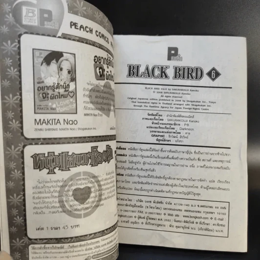 Black Bird 18 เล่มจบ รูปที่ 24