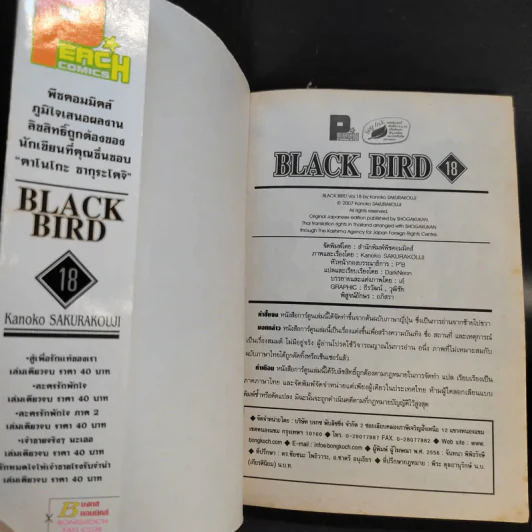 Black Bird 18 เล่มจบ รูปที่ 60