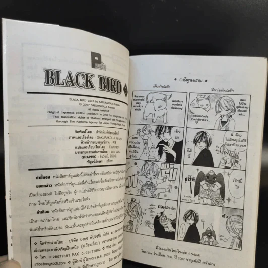 Black Bird 18 เล่มจบ รูปที่ 15
