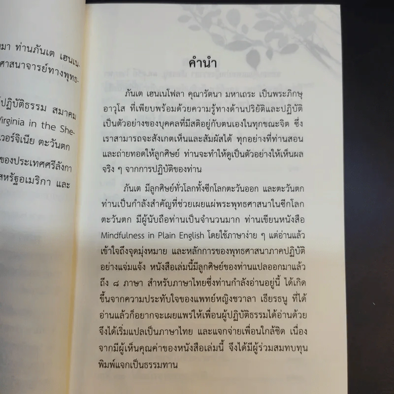 สติด้วยภาษาง่ายๆ คู่มือบริหารจิตเจริญภาวนา - ภันเต เฮเนโพลา คุณารัตนะ มหาเถระ รูปที่ 11