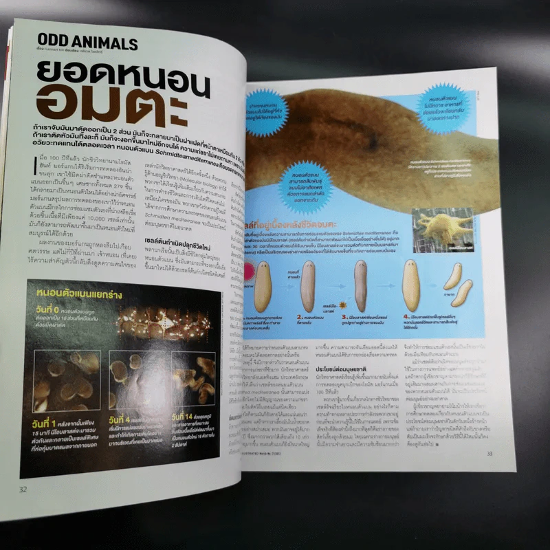 Science Illustrated March 2013 รูปที่ 11