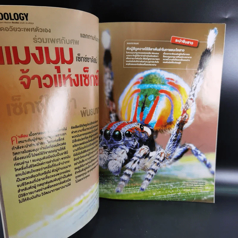 Science Illustrated January 2013 รูปที่ 9