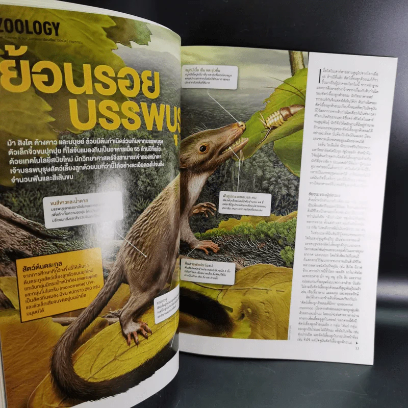 Science Illustrated March 2014 รูปที่ 10