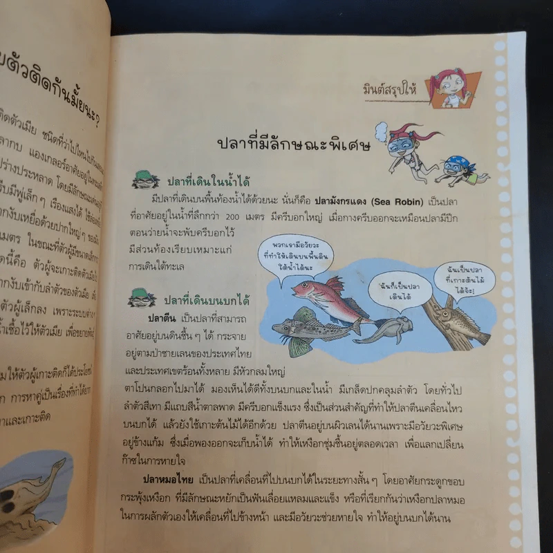 ชุดอัจฉริยะ วิทยาศาสตร์ ผจญภัยโลกของสัตว์ รูปที่ 16