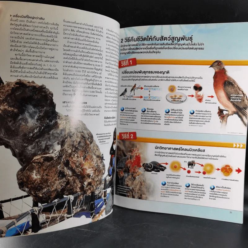Science Illustrated January 2014 รูปที่ 10