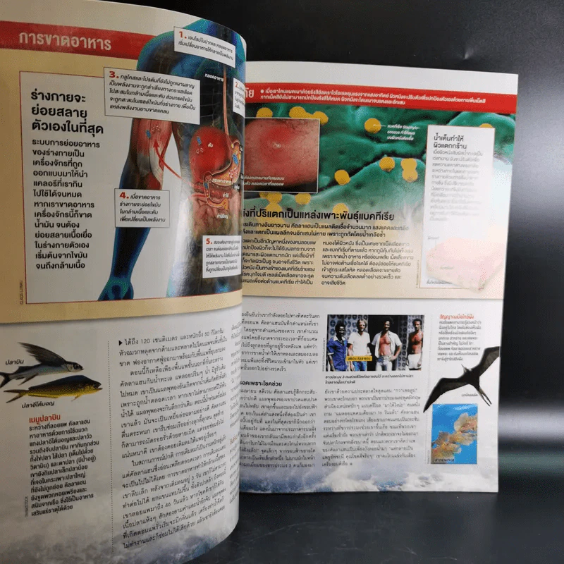 Science Illustrated August 2013 รูปที่ 11