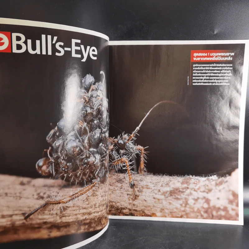 Science Illustrated June 2014 รูปที่ 10
