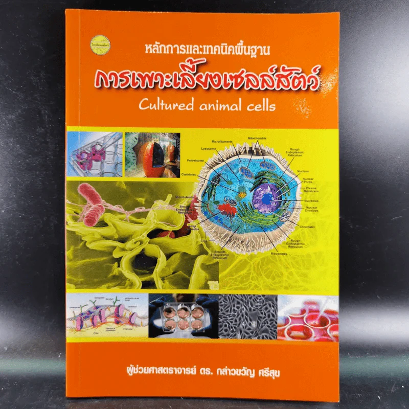 การเพาะเลี้ยงเซลล์สัตว์ - ผู้ช่วยศาสตราจารย์ ดร.กล่าวขวัญ ศรีสุข รูปที่ 1