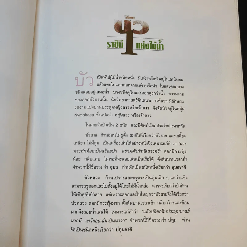 บัว ราชินีแห่งไม้น้ำ - คุณหญิงคณิตา เลขะกุล รูปที่ 13