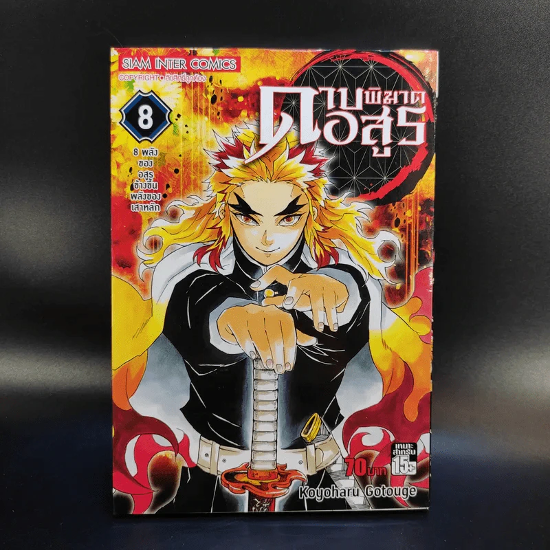 การ์ตูน ดาบพิฆาตอสูร 23 เล่มจบ + นิยาย ดาบพิฆาตอสูร 5 เล่ม รูปที่ 15