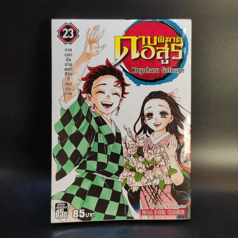 การ์ตูน ดาบพิฆาตอสูร 23 เล่มจบ + นิยาย ดาบพิฆาตอสูร 5 เล่ม รูปที่ 30