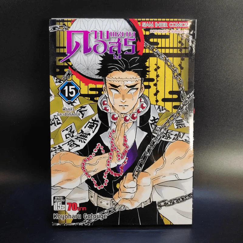 การ์ตูน ดาบพิฆาตอสูร 23 เล่มจบ + นิยาย ดาบพิฆาตอสูร 5 เล่ม รูปที่ 22