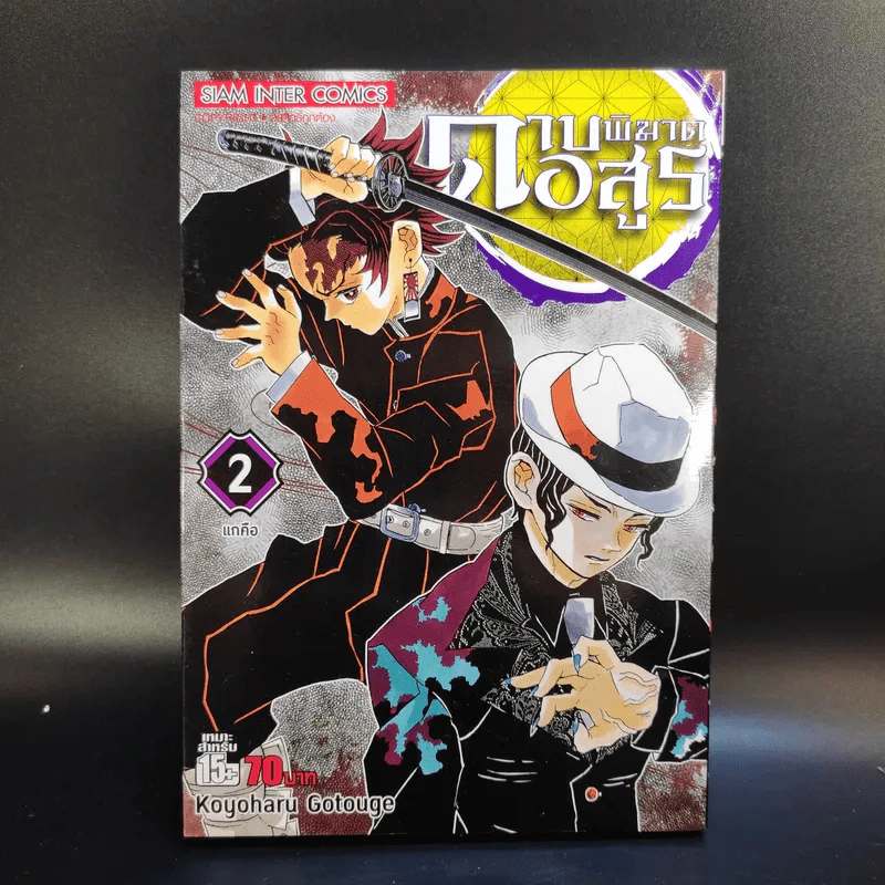 การ์ตูน ดาบพิฆาตอสูร 23 เล่มจบ + นิยาย ดาบพิฆาตอสูร 5 เล่ม รูปที่ 9