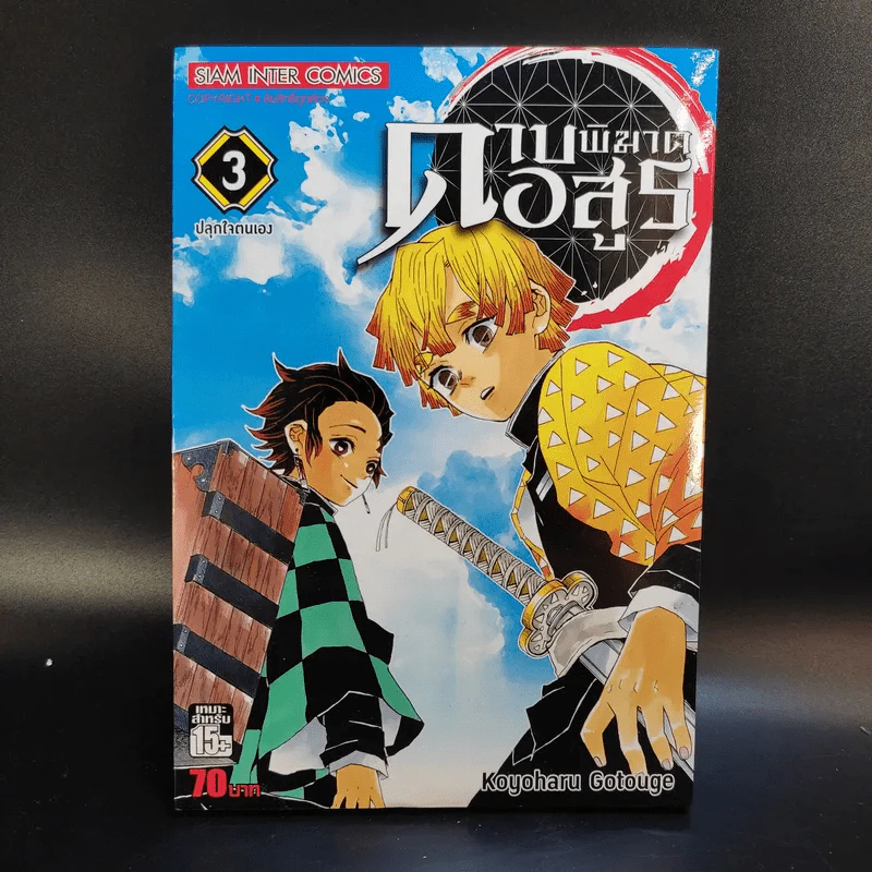 การ์ตูน ดาบพิฆาตอสูร 23 เล่มจบ + นิยาย ดาบพิฆาตอสูร 5 เล่ม รูปที่ 10