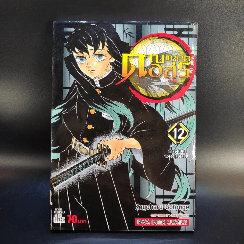 การ์ตูน ดาบพิฆาตอสูร 23 เล่มจบ + นิยาย ดาบพิฆาตอสูร 5 เล่ม รูปที่ 19