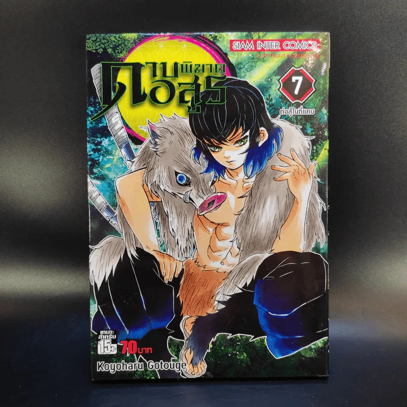 การ์ตูน ดาบพิฆาตอสูร 23 เล่มจบ + นิยาย ดาบพิฆาตอสูร 5 เล่ม รูปที่ 14