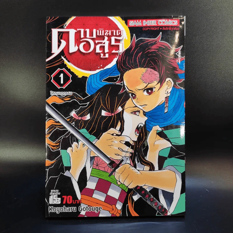 การ์ตูน ดาบพิฆาตอสูร 23 เล่มจบ + นิยาย ดาบพิฆาตอสูร 5 เล่ม รูปที่ 8