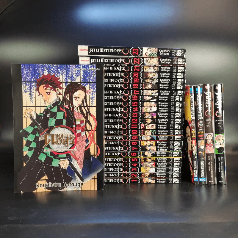 การ์ตูน ดาบพิฆาตอสูร 23 เล่มจบ + นิยาย ดาบพิฆาตอสูร 5 เล่ม รูปที่ 1