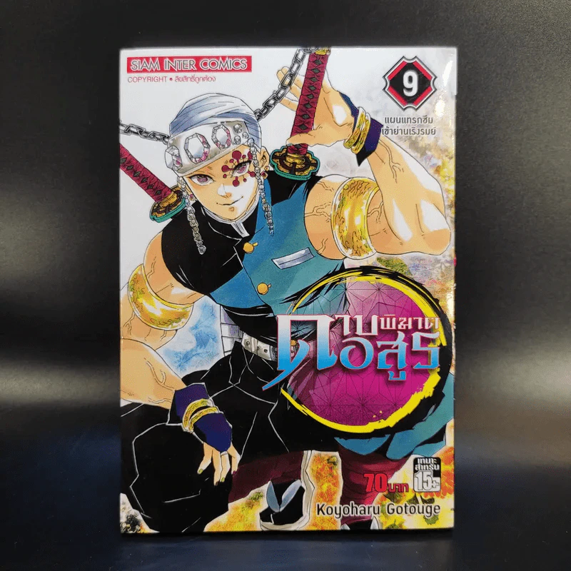 การ์ตูน ดาบพิฆาตอสูร 23 เล่มจบ + นิยาย ดาบพิฆาตอสูร 5 เล่ม รูปที่ 16